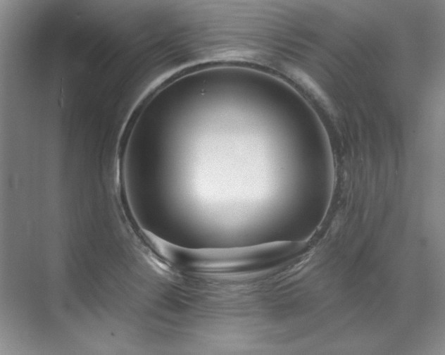 X0000073841324200608101219