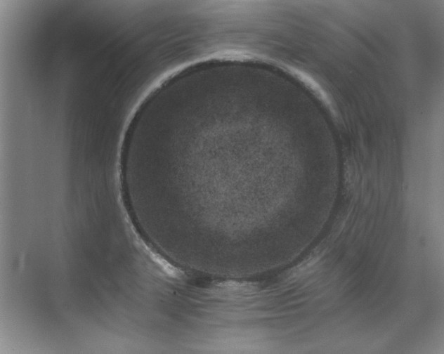 X0000073841327200608101219