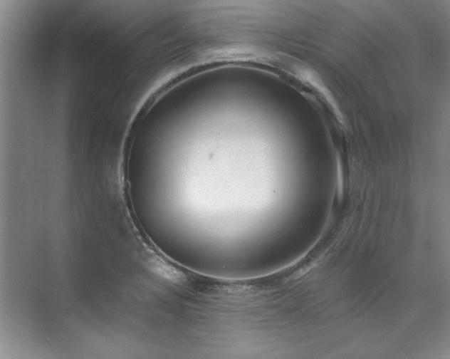 X0000073841328200608101219