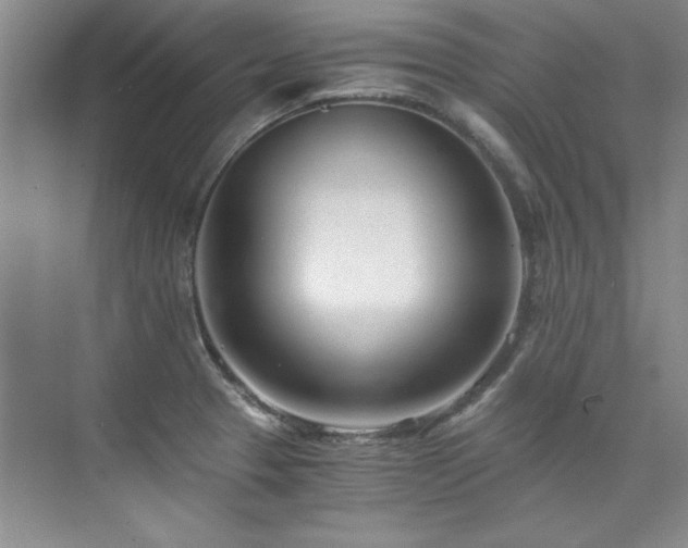 X0000073841329200608101219