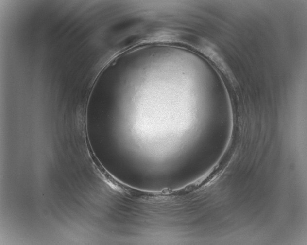 X0000073841337200608101219