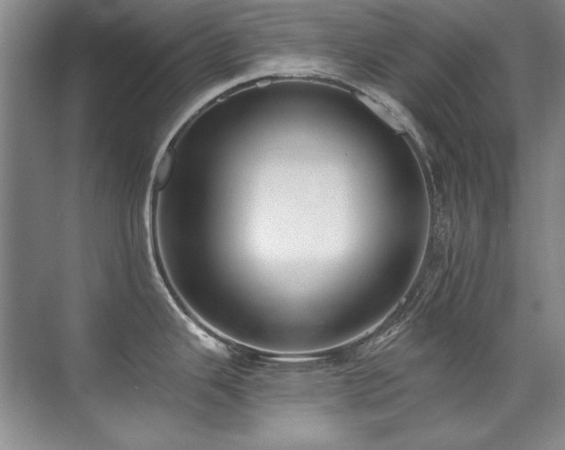 X0000073841343200608101219