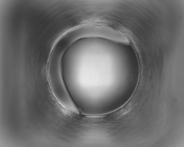X0000073841344200608101219