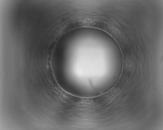 X0000073841346200608101219
