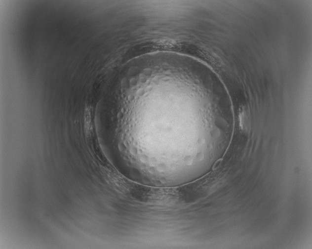 X0000073841347200608101219