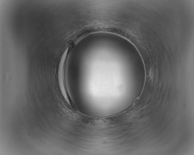 X0000073841348200608101219