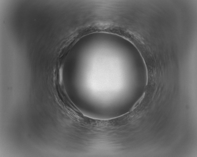 X0000073841349200608101219