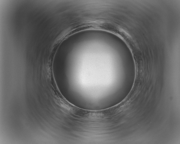 X0000073841354200608101219