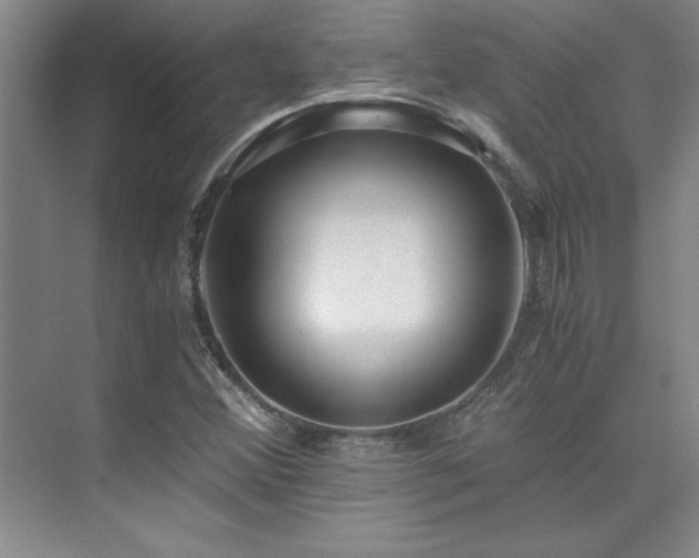 X0000073841356200608101219