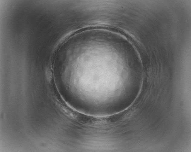 X0000073841363200608101218