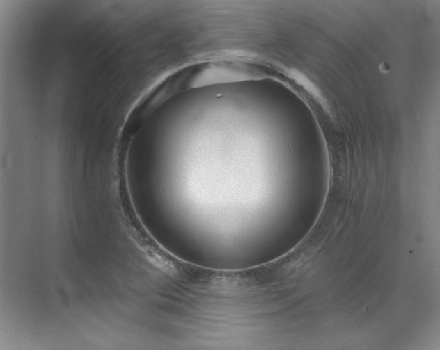 X0000073841364200608101218