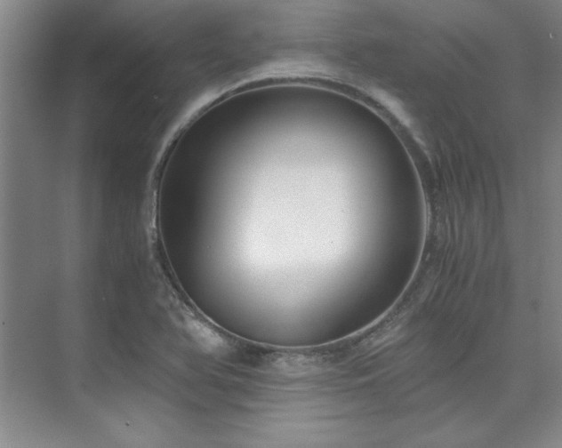 X0000073841366200608101218