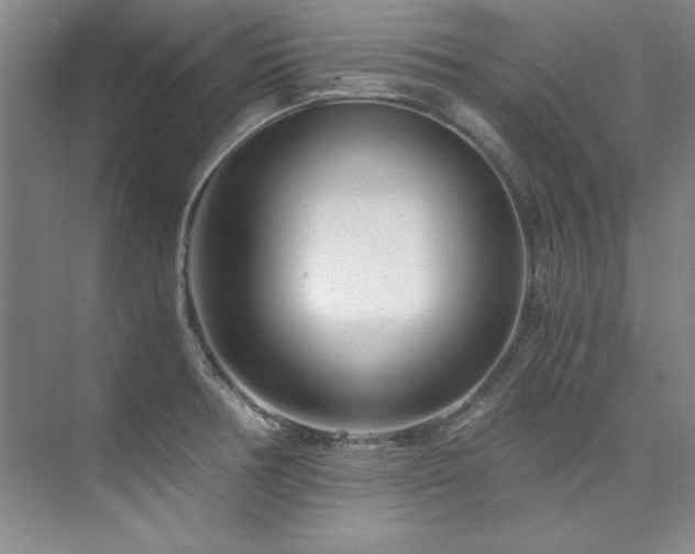 X0000073841378200608101218