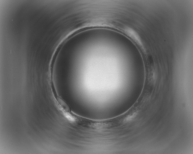 X0000073841380200608101218