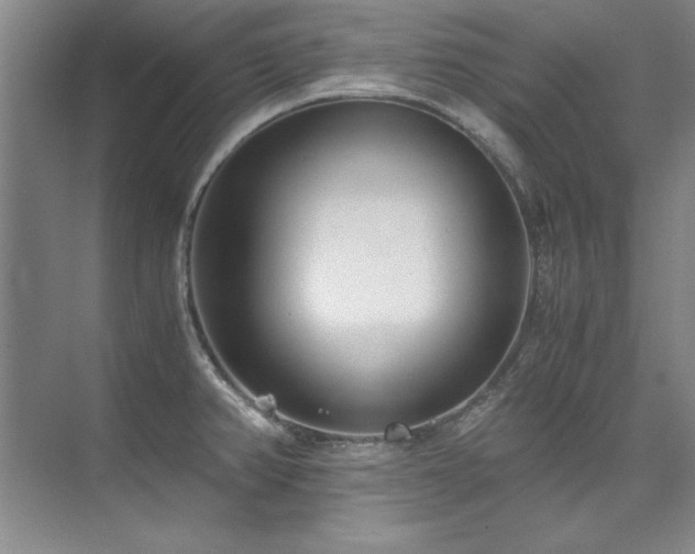 X0000073841382200608101218