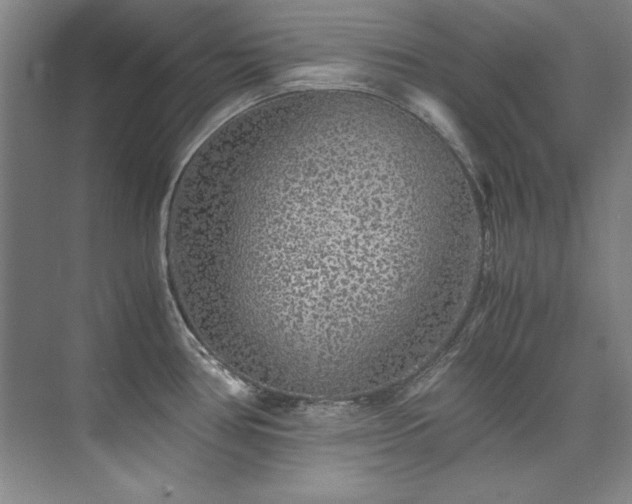 X0000073841386200608101218
