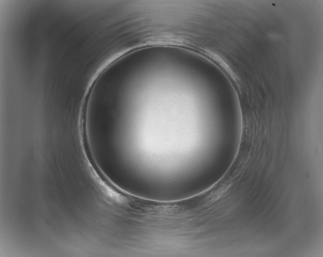 X0000073841387200608101218