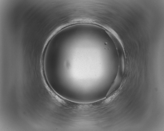 X0000073841389200608101218