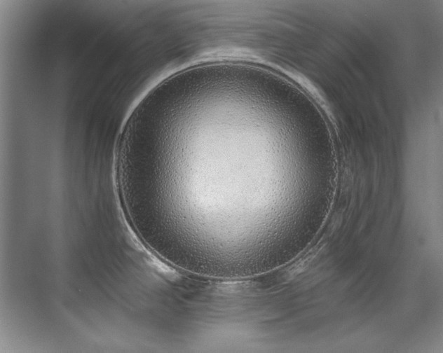 X0000073841390200608101218