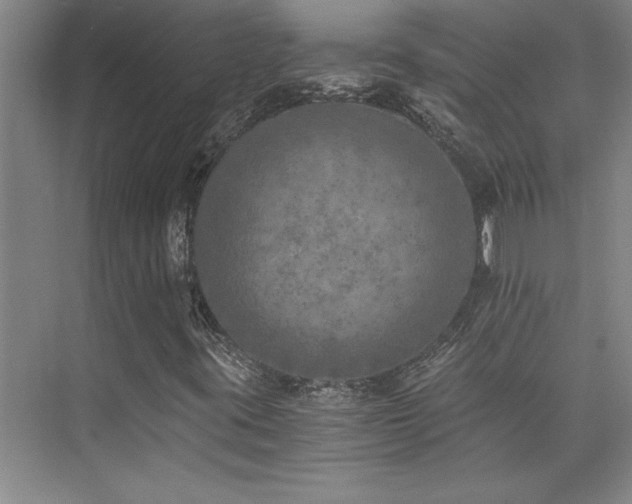 X0000073841395200608101217
