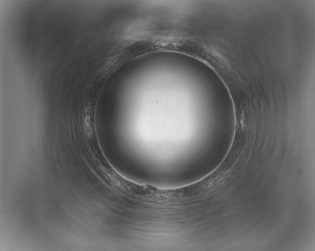 X0000073841396200608101217