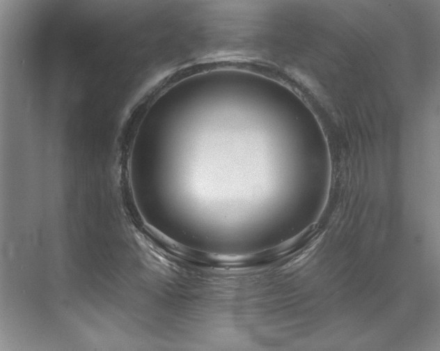 X0000073841406200608101217