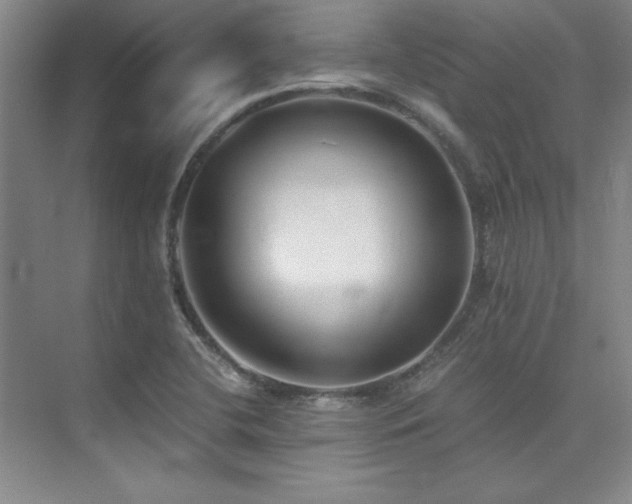 X0000073841412200608101217