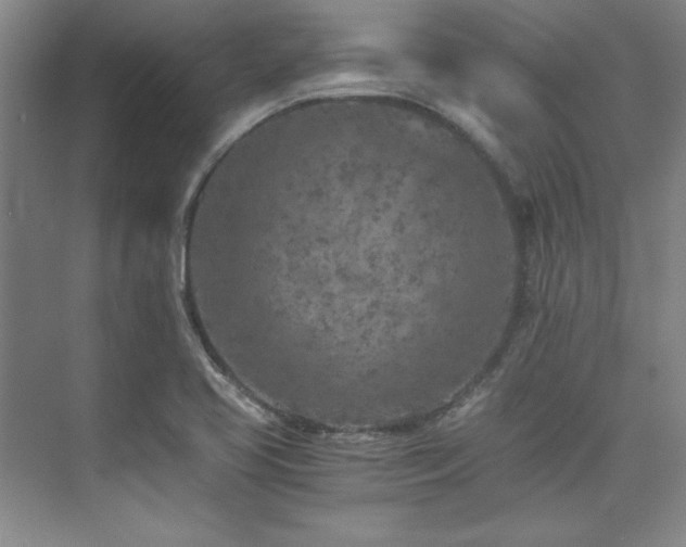 X0000073841413200608101217