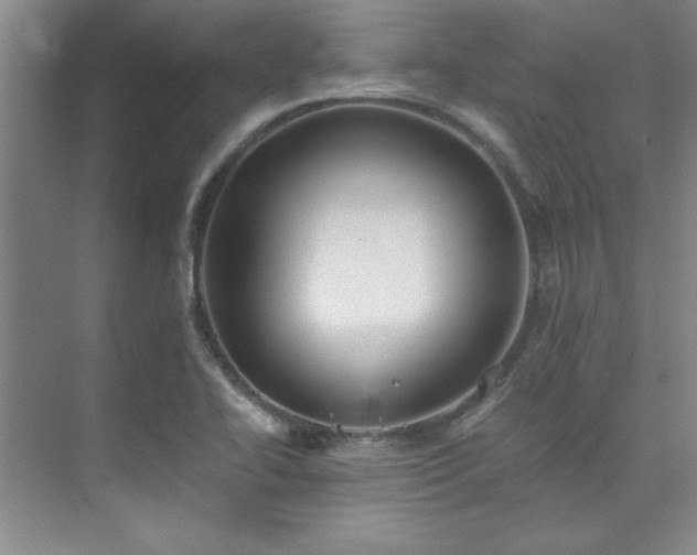 X0000073841414200608101217