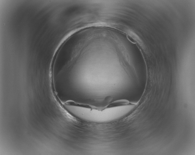 X0000073841428200608101218