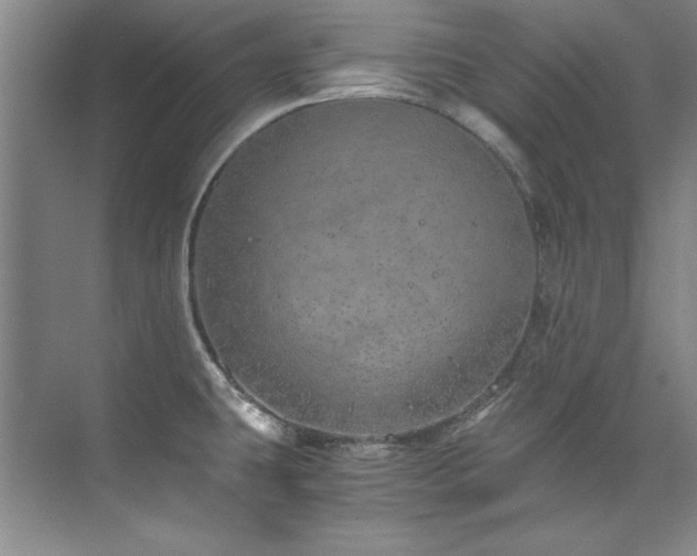 X0000073841431200608101218