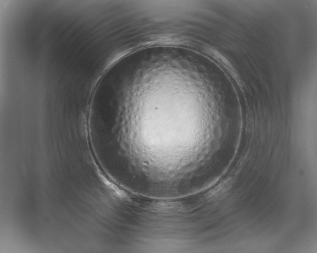 X0000073841433200608101218