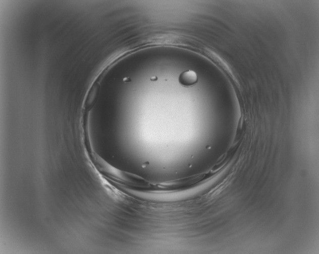X0000073841434200608101218