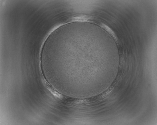 X0000073841435200608101218