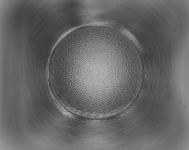 X0000073841436200608101218