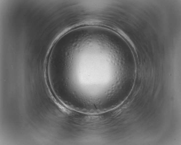 X0000073841437200608101218
