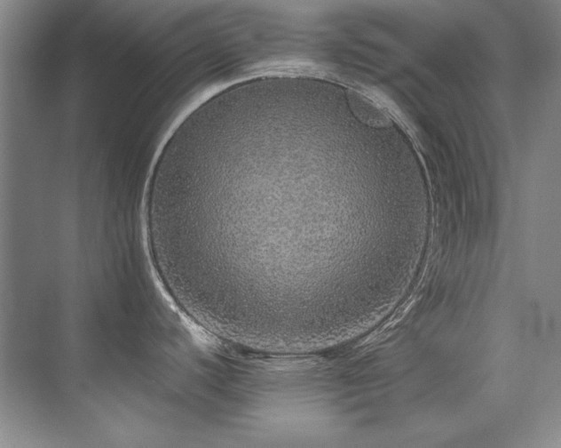 X0000073841440200608101218