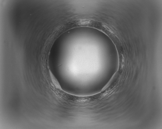 X0000073841441200608101217