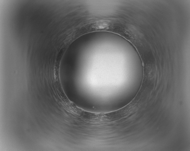 X0000073841442200608101217