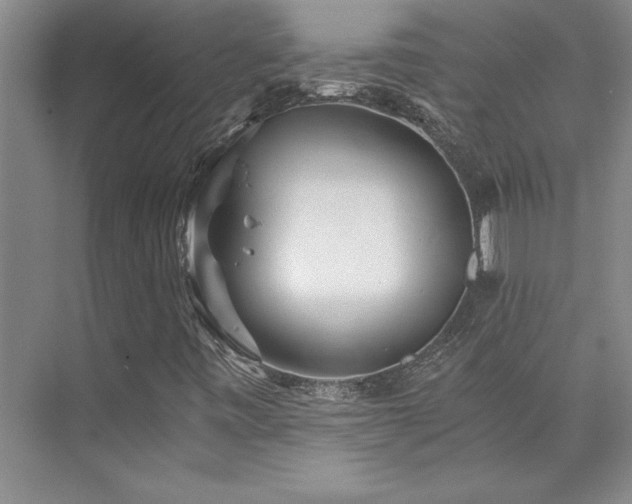 X0000073841443200608101217