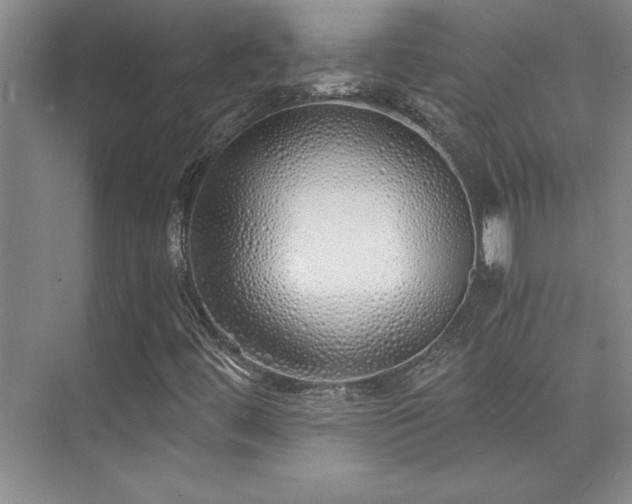 X0000073841444200608101217