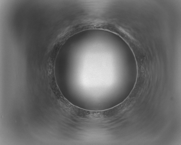 X0000073841447200608101217