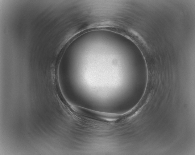 X0000073841457200608101217