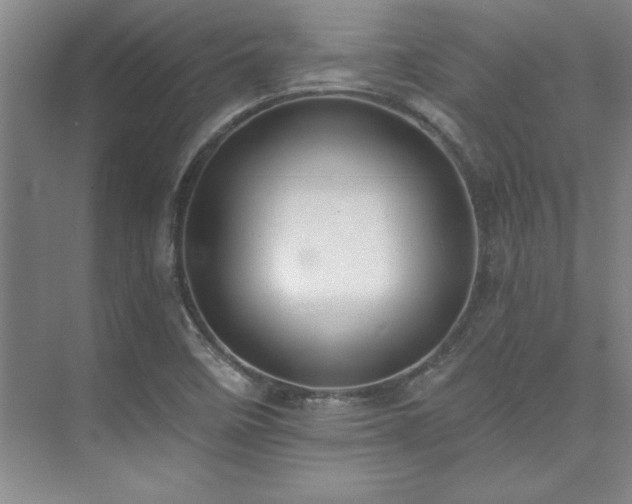X0000073841458200608101217