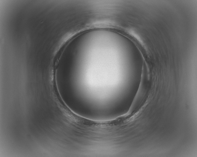 X0000073841461200608101217