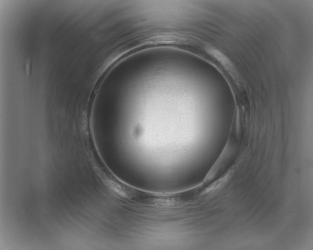 X0000073841465200608101217