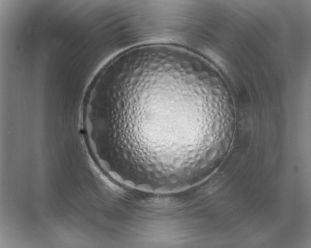 X0000073841468200608101217