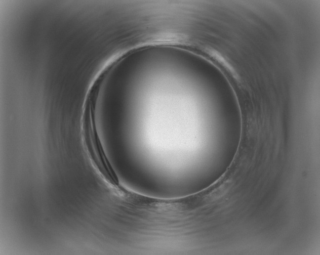 X0000073841469200608101217