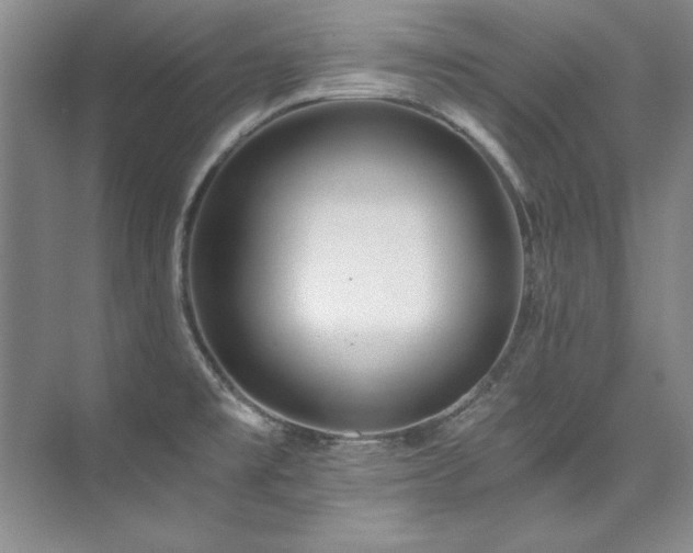 X0000073841477200608101216