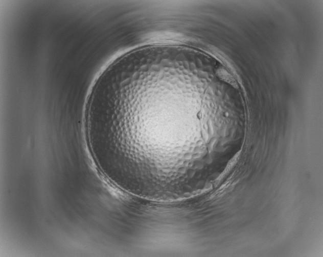 X0000073841488200608101216